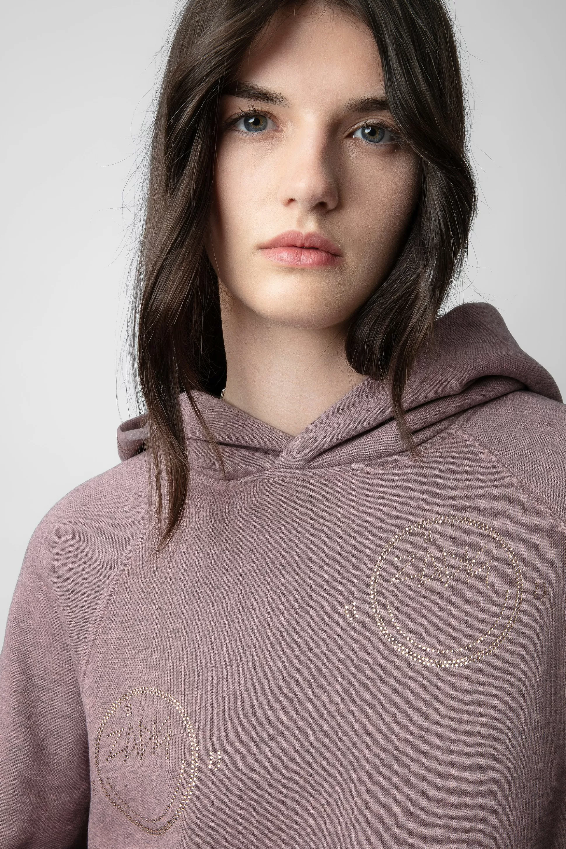 Femmes Zadig & Voltaire Sweat-Shirts^Sweat A Capuche Georgy Diamante